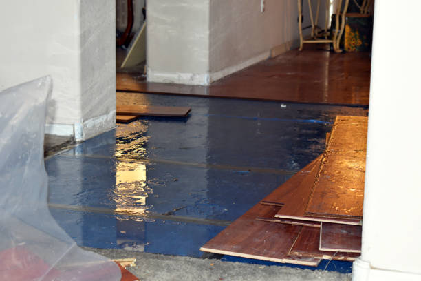 Professional Burst Pipe Cleanup technician working in Maysville, GA