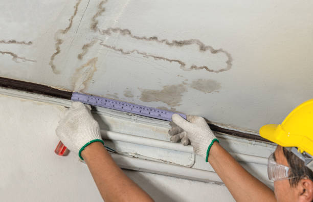 Reliable Burst Pipe Cleanup contractor in Maysville, GA by Water Damage Irwin